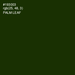 #193003 - Palm Leaf Color Image